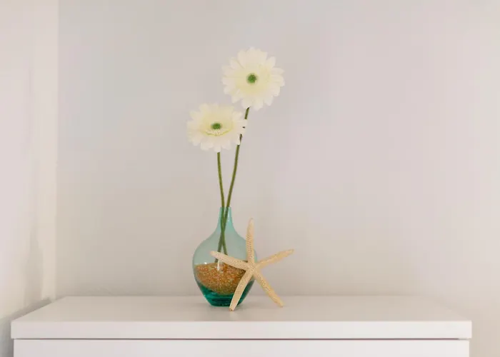 Appartement Lurdes *